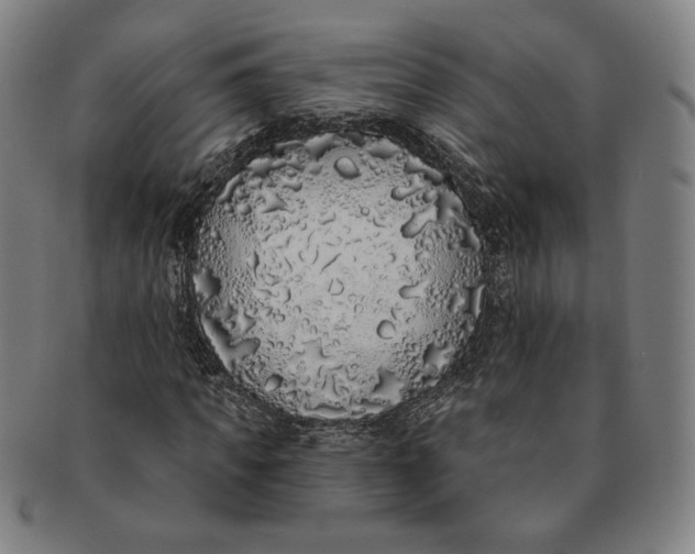 X0000091210917200708301424