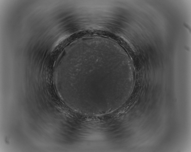 X0000091210919200708301424