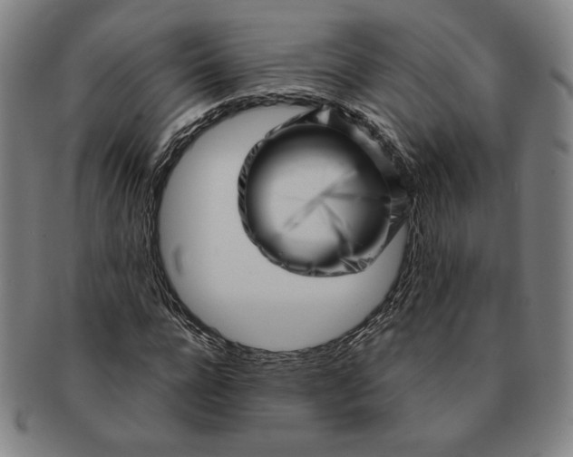 X0000091210920200708301424