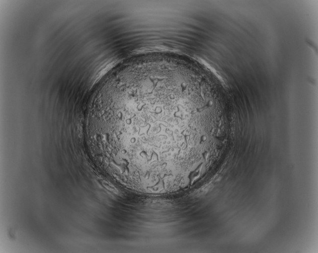 X0000091210921200708301424