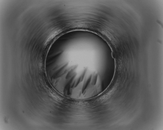 X0000091210922200708301424