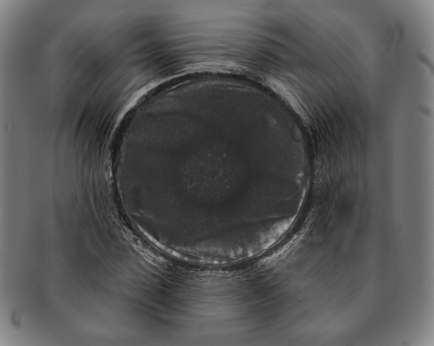 X0000091210923200708301424