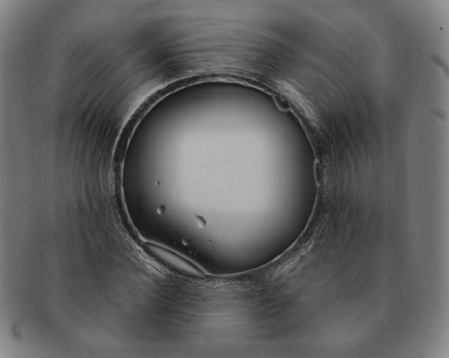 X0000091210924200708301424