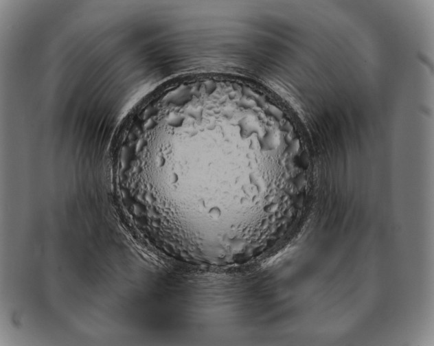 X0000091210925200708301424