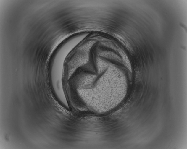 X0000091210926200708301424