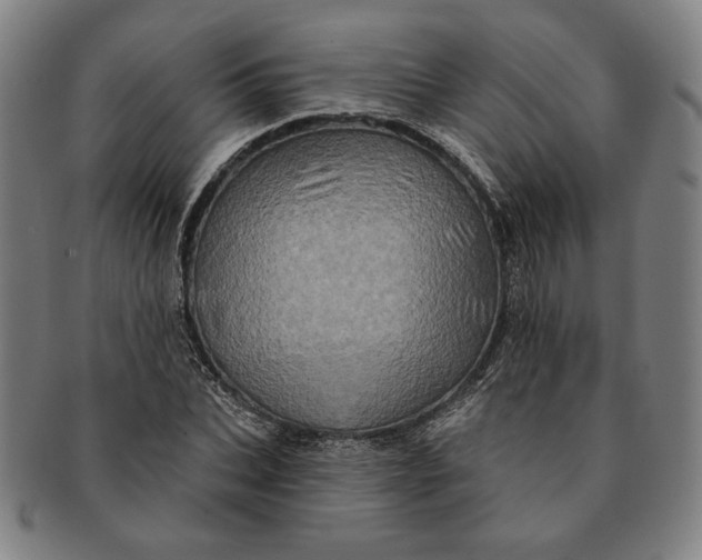 X0000091210927200708301425