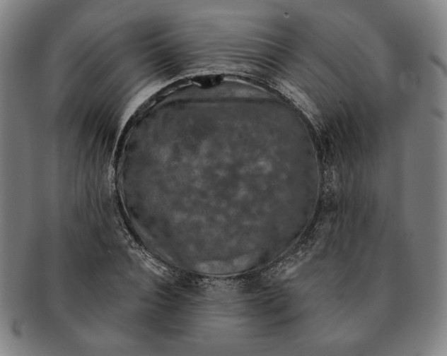 X0000091210928200708301425