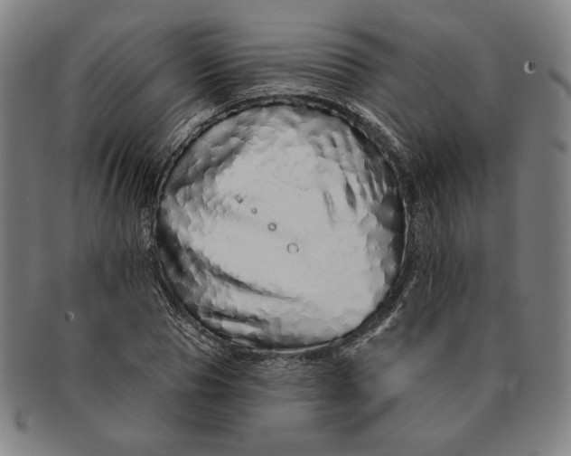 X0000091210929200708301425