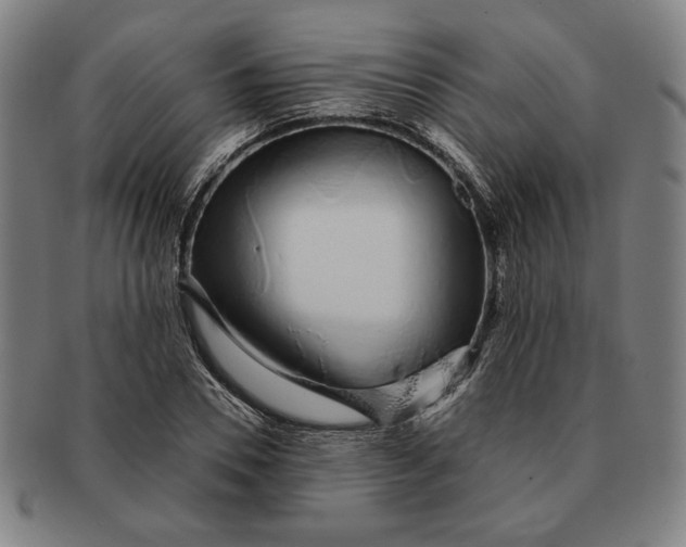 X0000091210930200708301425