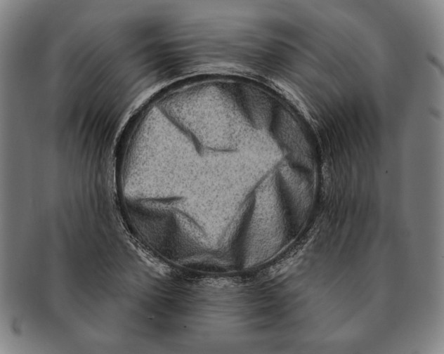 X0000091210931200708301425