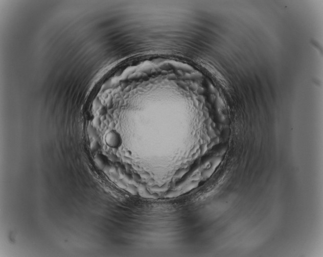 X0000091210933200708301425