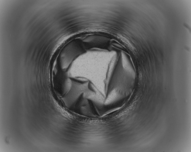 X0000091210934200708301425