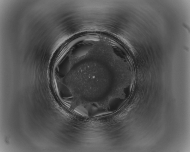 X0000091210935200708301425