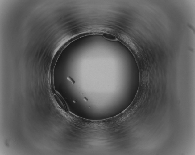 X0000091210936200708301425