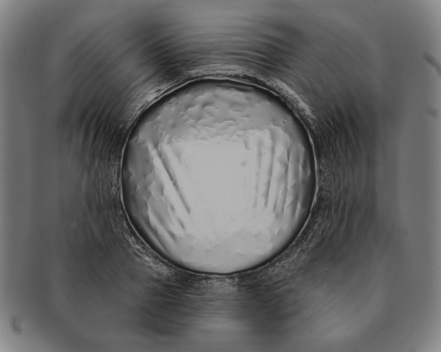 X0000091210937200708301425