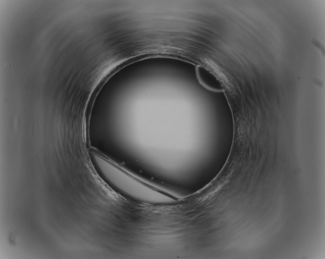 X0000091210940200708301425