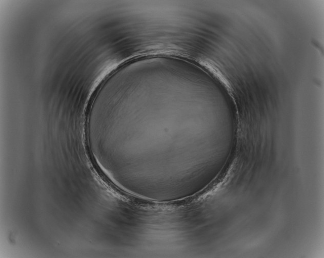 X0000091210941200708301425