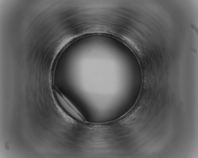 X0000091210942200708301425