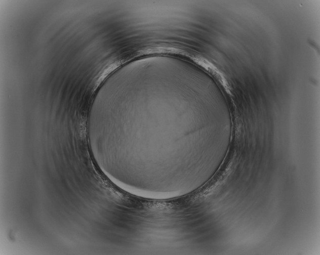 X0000091210945200708301425