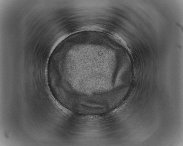 X0000091210947200708301425