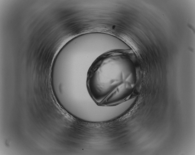 X0000091210948200708301425