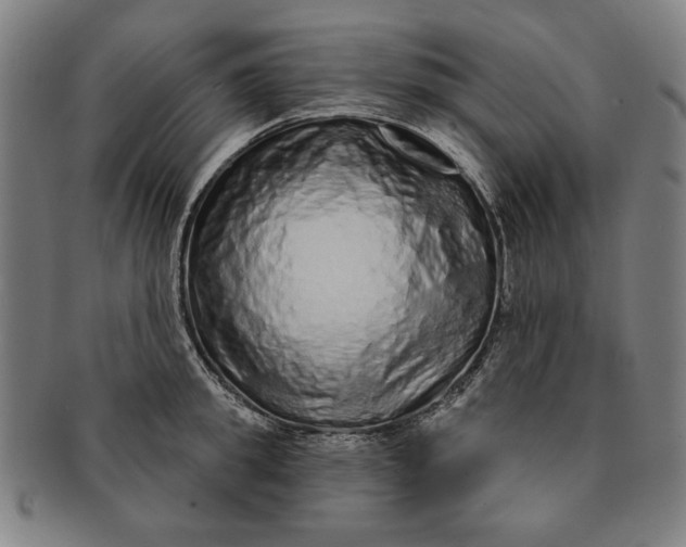 X0000091210949200708301425