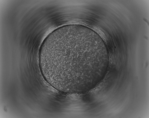 X0000091210950200708301425