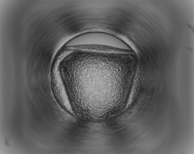 X0000091210951200708301425