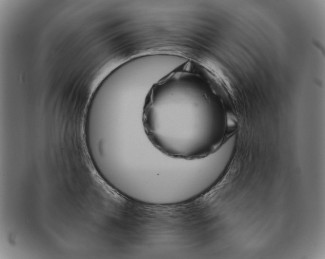 X0000091210952200708301425