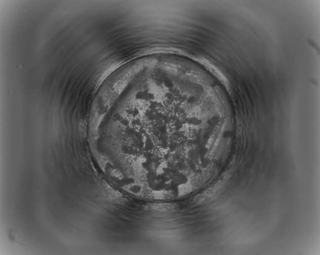 X0000091210953200708301425