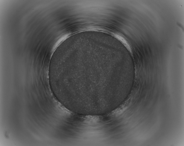 X0000091210954200708301425