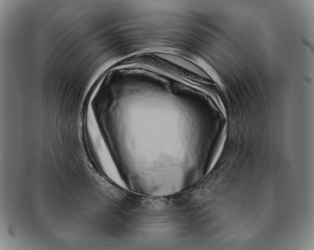 X0000091210955200708301425