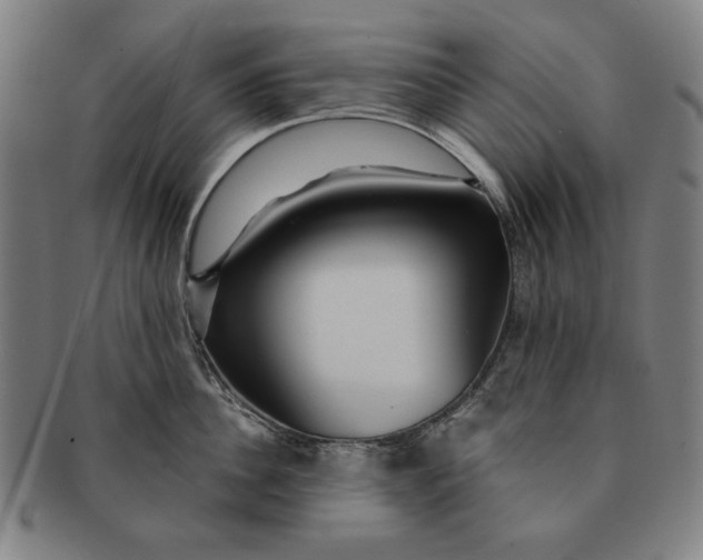 X0000091210956200708301425