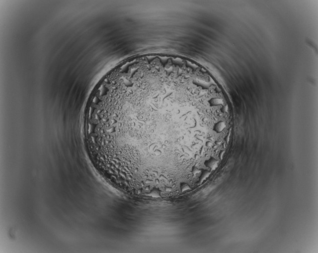 X0000091210957200708301425