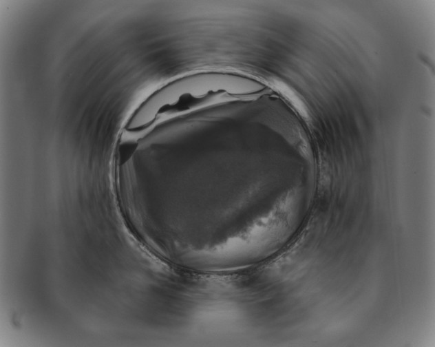 X0000091210958200708301425