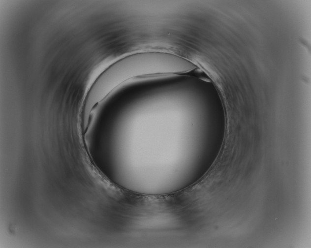 X0000091210960200708301425