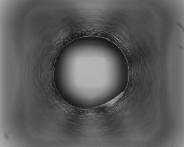 X0000091210961200708301424