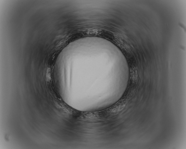 X0000091210962200708301424