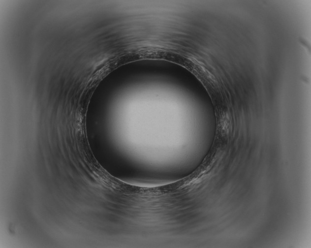 X0000091210964200708301424