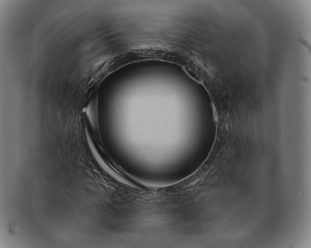 X0000091210965200708301424