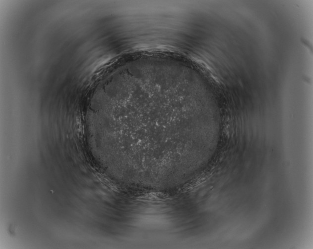 X0000091210966200708301424