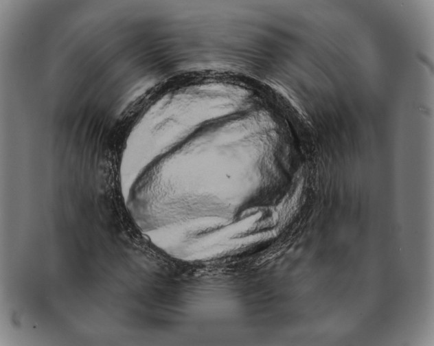 X0000091210967200708301424