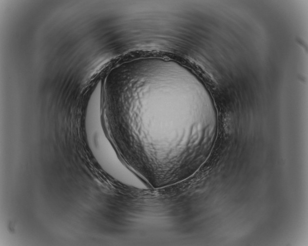 X0000091210968200708301424