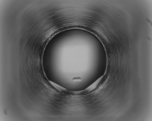 X0000091210969200708301424