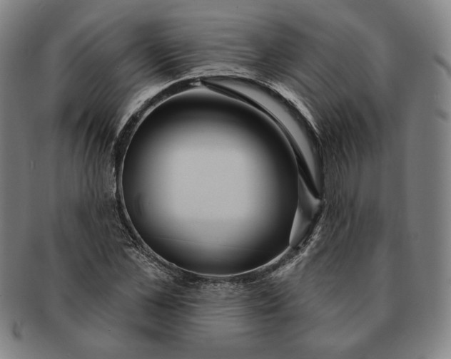 X0000091210973200708301424