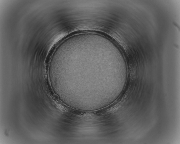 X0000091210974200708301424