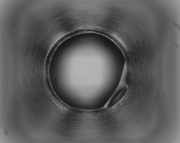 X0000091210976200708301424