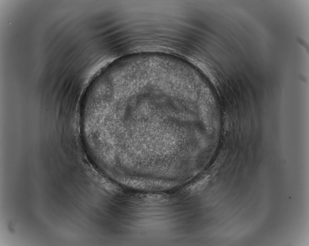 X0000091210979200708301424