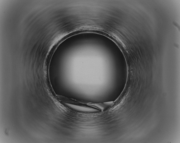 X0000091210981200708301424