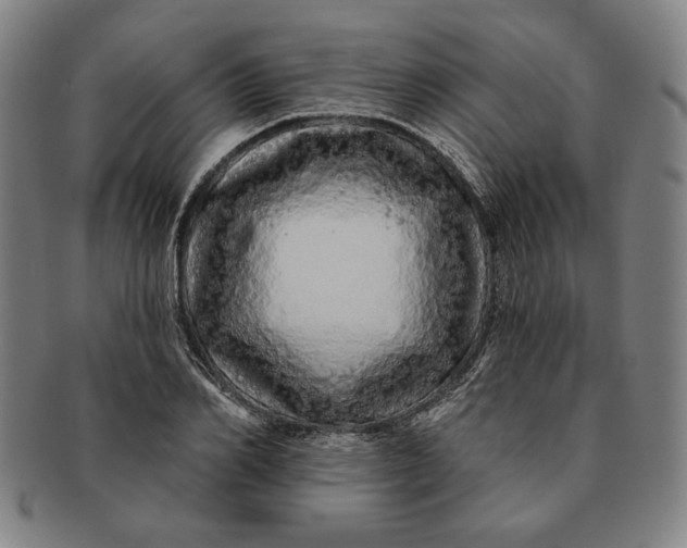 X0000091210982200708301424